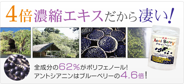 絶対一番安い ポリフェノール ブルーベリー ルテイン サプリ アサイー acai 4倍 濃縮 アサイーベリー ３０粒 アントシアニン アサイベリー  オメガ3脂肪酸 サプリメント 1000円 ポッキリ ロドプシン